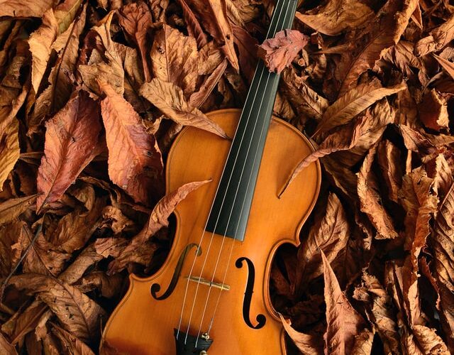 Best Violin For Beginners