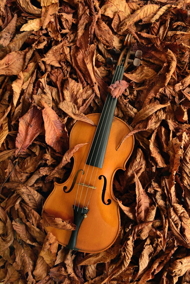 Best Violin For Beginners