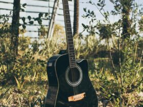 Best inexpensive acoustic guitar
