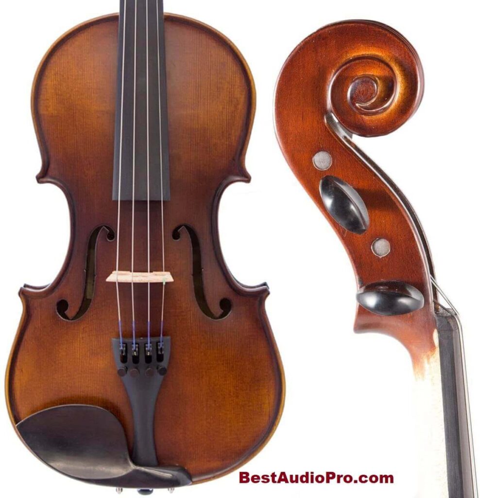 Bunnel Pupil Violin