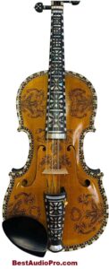 PWANG Student Violin Deluxe Fancy Fiddle of profession