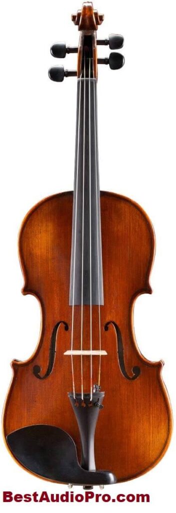 Andreas Eastman Model 305 Violin FREE Violin Case