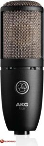 AKG Pro Audio P220 Vocal Condenser Microphone
