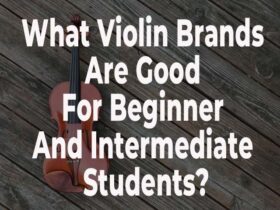 What Violin Brands Are Good For Beginner And Intermediate Students