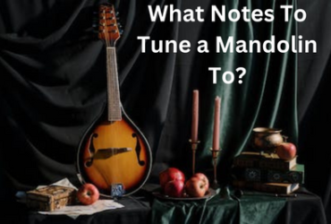 What Notes To Tune a Mandolin To?
