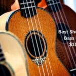Best Short Scale Bass Under $1000
