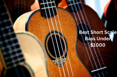 Best Short Scale Bass Under $1000