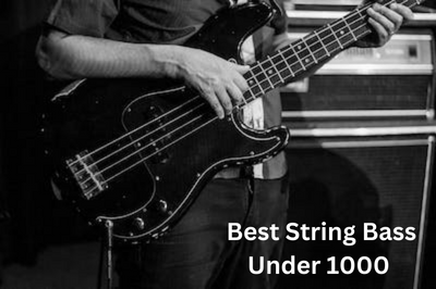 Best String Bass Under 1000