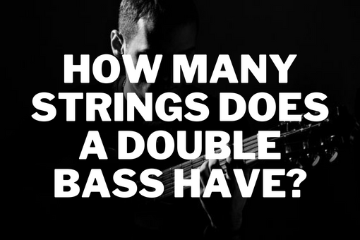 How Many Strings Does a Double Bass Have?