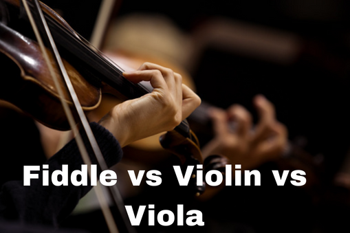 Fiddle vs Violin vs Viola