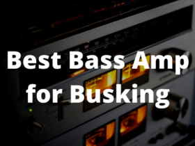 Best Bass Amp for Busking