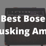 Best Bose Busking Amp