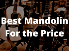 Best Mandolin For the Price