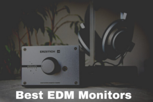 Best EDM Monitors