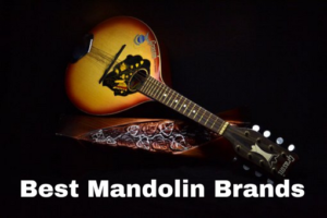 Best Mandolin Brands