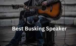 Best Busking Speaker